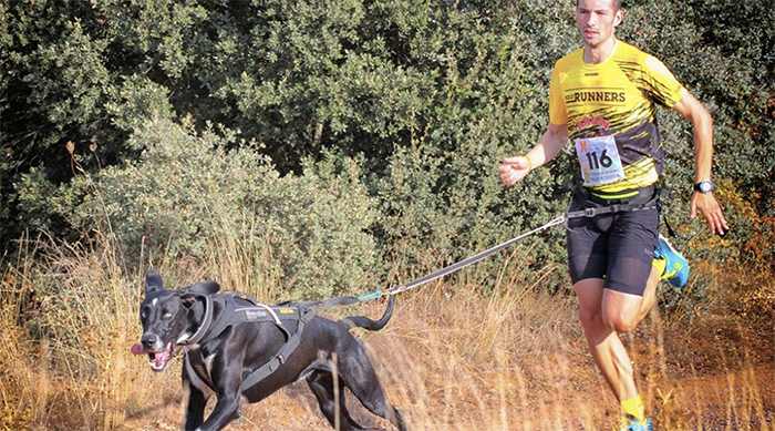 Castelldefels acollirà diumenge el primer Canicross